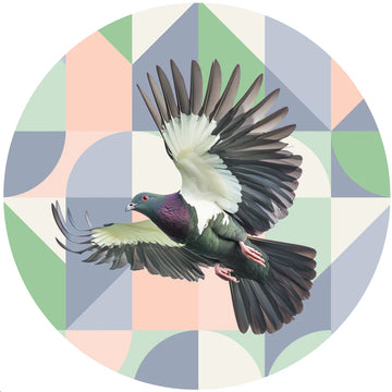 Kereru Circle Wallpaper