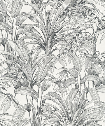 Tropical Linework Wallpaper
