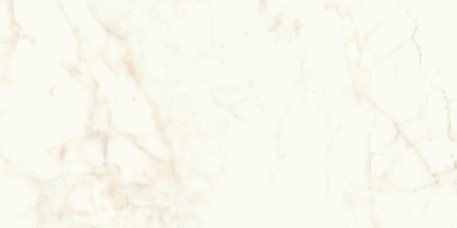 Calacatta Delicato Matt 60x120