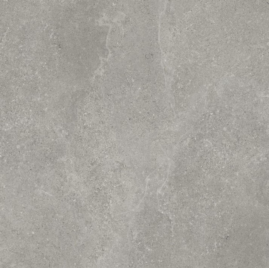 Magic Stone Gecko 60x60