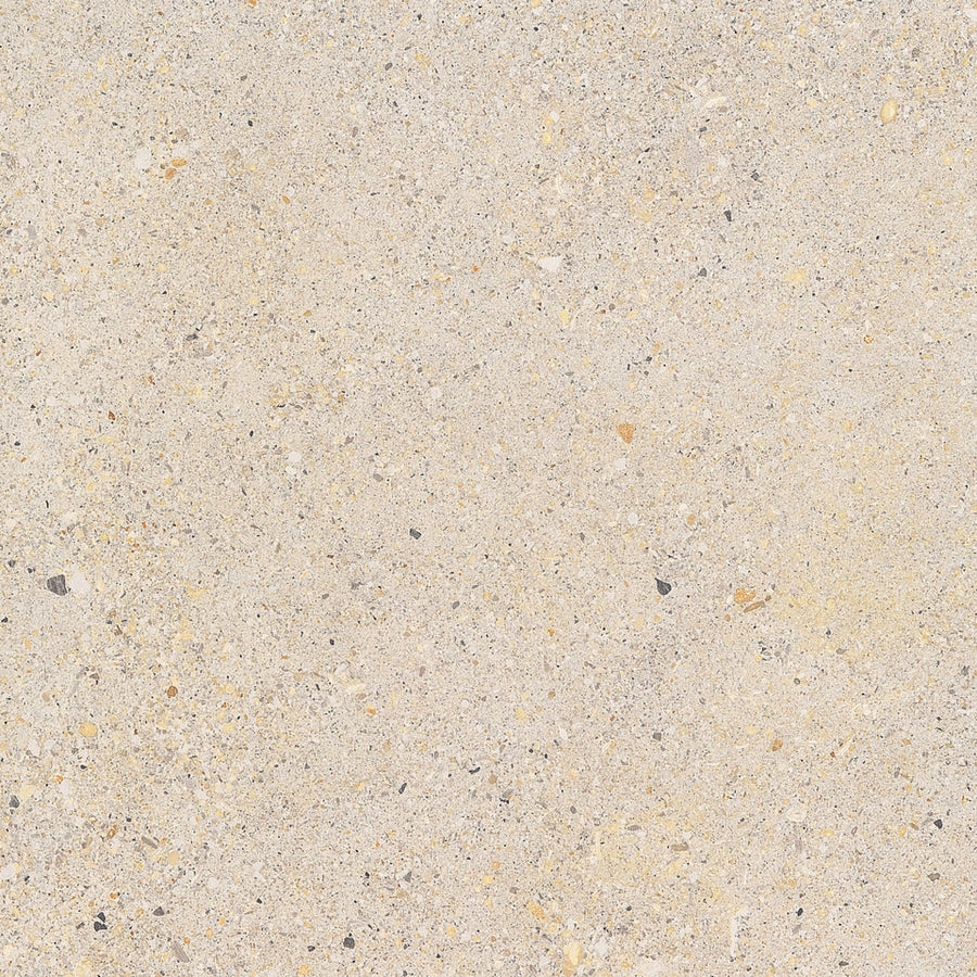 Aggregate Gecko 60x60