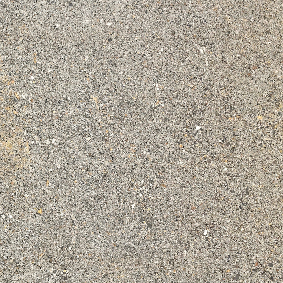 Aggregate Gecko 60x60