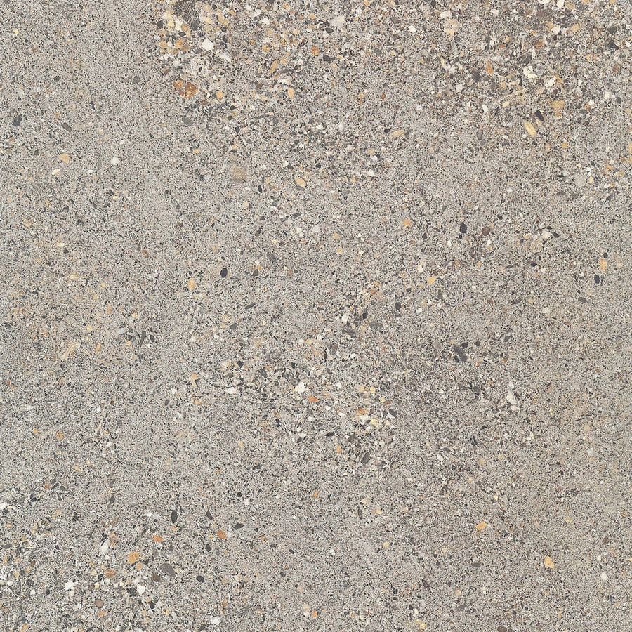 Aggregate Gecko 60x60