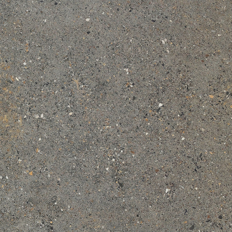Aggregate Gecko 60x60