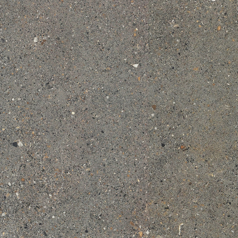 Aggregate Gecko 60x60