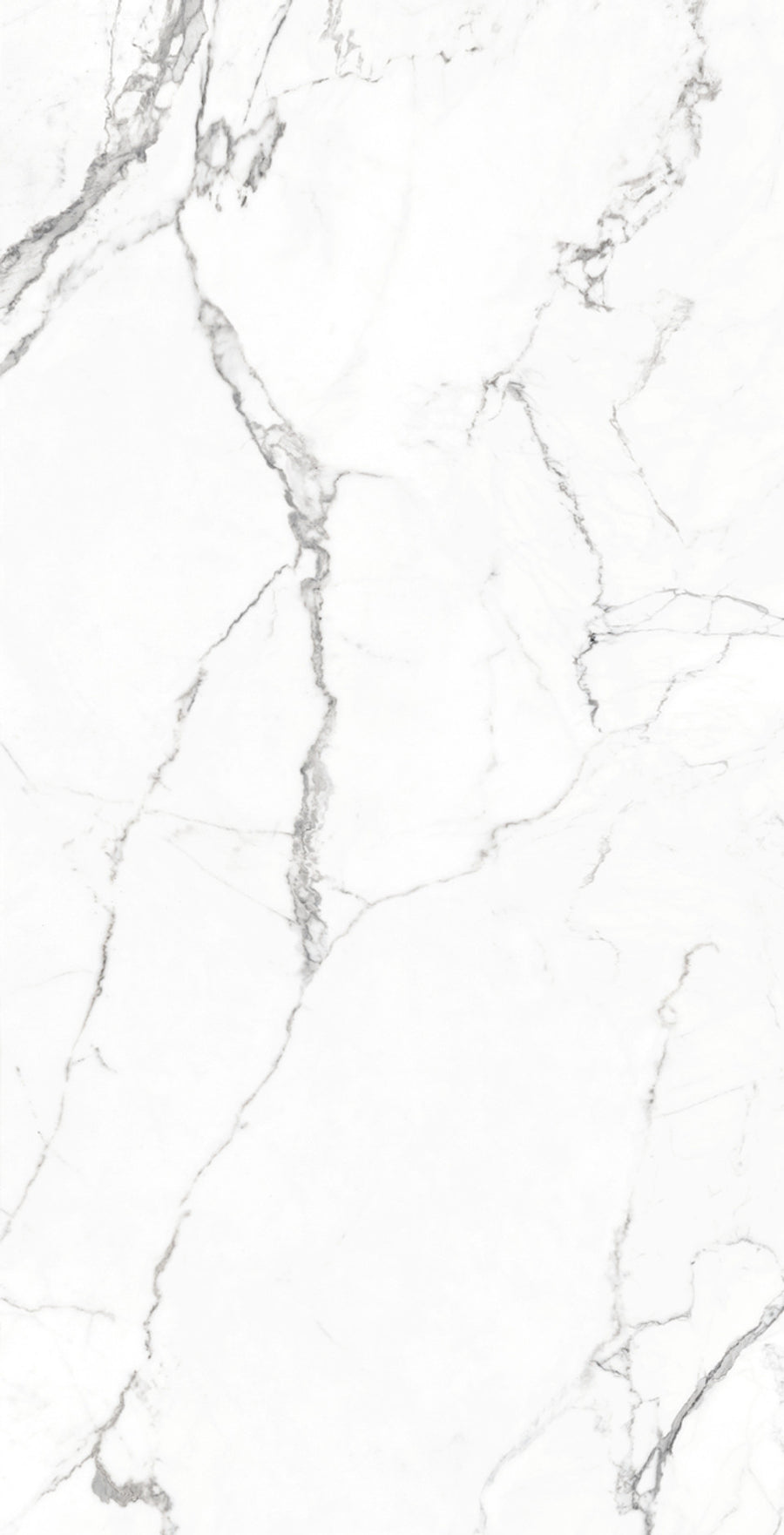 Venato Blanc Matt 60x120