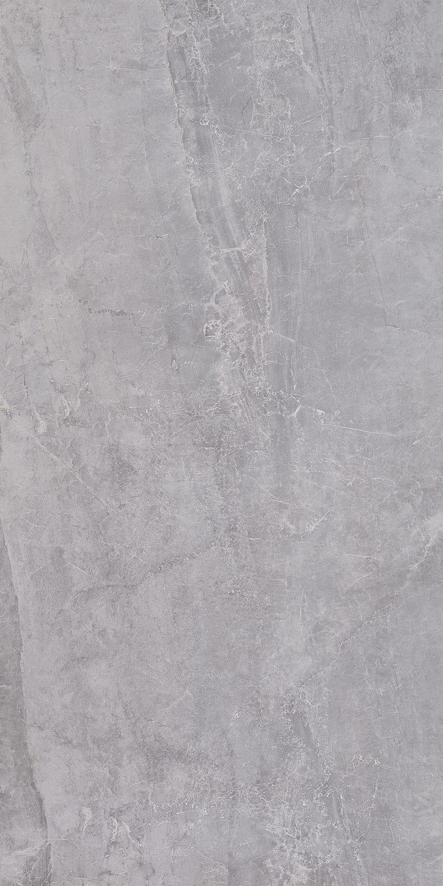 Timeless Gray Marble Matt 60x120