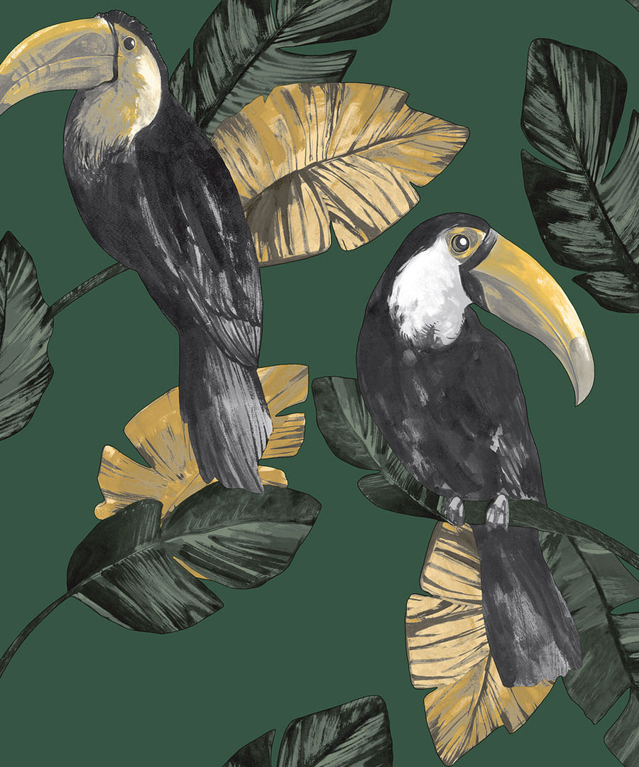 Toucan Wallpaper
